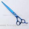 Pet Shops 8.5 Inch Pet Grooming Scissors With Blue Titanium Coating