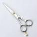 Gold Screw Silver Left Handed Hairdressing Scissors For Hair Cutting