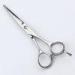 Safe 5.5 Inch Japanese Steel Hair Cutting Shears For Hair Stylist