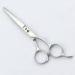 Durable Professional Hair Shears 6 inch Beauty Salon Equipment