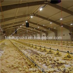 Commercial Chicken House Product Product Product