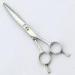 Right Hand Professional Scissors Hairdressing Stainless Steel Material