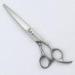 Fashionable Cat Grooming Shears / Straight Hair Cutting Scissors
