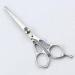5.5 Inch Hairdressing Scissors With Japanese 420J2 Stainless Steel Material