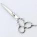 Barber Shop 6 Inch Hairdressing Scissors With Stainless Steel Material