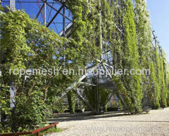 Stainless Steel Rope Mesh Green wall