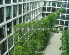 Stainless Steel Rope Mesh Green wall