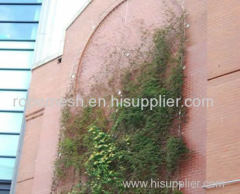 Stainless Steel Rope Mesh Green wall