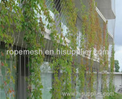 Stainless Steel Rope Mesh Green wall