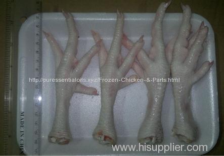 Chicken Feets wholesales at cheap prices