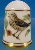 Porcelain Thimble . .