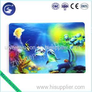 3D Placemat With Sea Fish