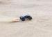 All Terrain RTR Bigfoot RC Monster Truck Four Huge Big Bore Shocks