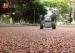2 CH Monster Wheel RC Brushless Trucks Electric Big Bore Aluminum Shocks