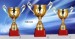 Polyresin Soccer Trophy & Alloy Badge