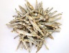 Dried Anchovy / Fresh Anchovy / Frozen Anchovy