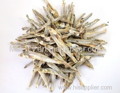 Dried Anchovy / Fresh Anchovy / Frozen Anchovy
