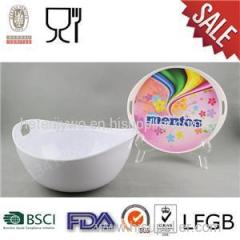 Melamine Ice Salad Serving Bowl With Lid