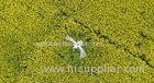 26000-28000 mah ( 12S ) Battery Crop Spraying Drones for Precision Agricultural Spraying