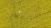 Unmanned UAV Helicopter / Agricultural Spray Equipment Nozzle Pressure 2-3 Bar