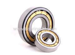 Swing Travel Reducer in Excavator Bearings Cylindrical Roller Bearing