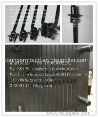 automotive car plastic nylon cable tie mould manufacture