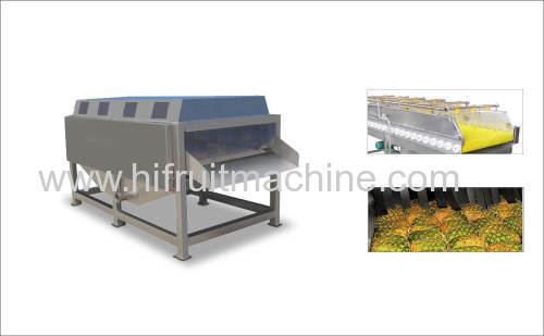 Vegetable Fruit Bush Spraying And Washing Cleaning Machine For Industrial Purpose