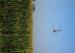 Spray Pressure 0.22-0.28kPa Remotely Piloted Helicopter 5 Meter Width Semi Control