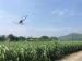 1.5 Hectare Per Refill Unmanned UAV Agricultural Spraying for Crop Dusting Spray