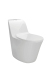 Dual Flush One-piece Toilet Ceramic Toilet (2016 Kapok Product Design Awards Winner)