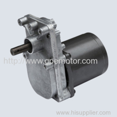 Small Electric AC DC Worm Gear Motor