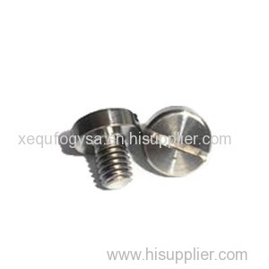 Titanium Pan Head Bolt