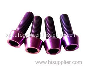 Purple Anodized Titanium Bolt