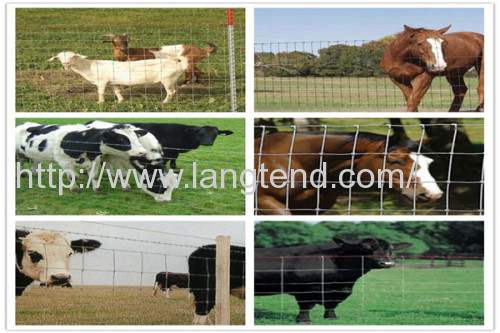 Agriculture Field Farm Live Stock Fence