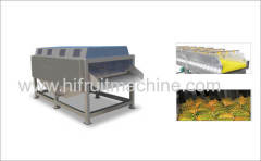 Fruit Spraying And Washing Cleaning Machine