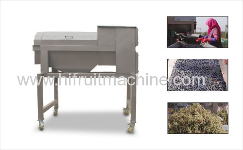 Grape Destemmer for grape wine processing