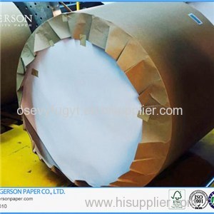 Two Side White Coated Duplex Paper Board White Back Roll Packaging