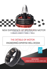 RT2205 2300KV Brushless Motor for FPV Drone Racing Quadcopter 2CW 2CCW