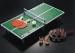 Easily Stored Kids Table Tennis Table 60 X 40 X 15 Cm Size For Family Entertainment