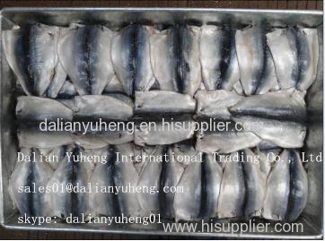 FROZEN MACKEREL FISH FLAP