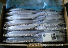 FROZEN PACIFIC SAURY Fish