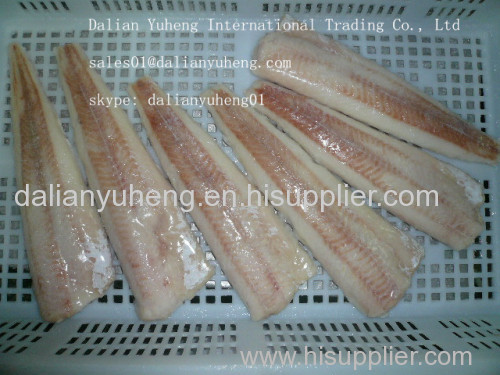 FROZEN PACIFIC HAKE FILLETS