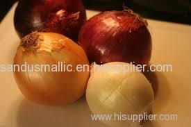 Fresh Red Onions Yellow White Onions For Sale