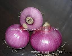 New Crhigh Quality Chinese Pure White Onion(5.0cm and up)