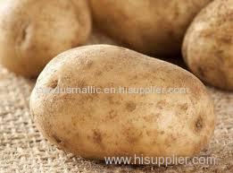 High Quality Fresh Vegetables Potato