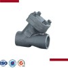Forged Steel Y Type Check Valve