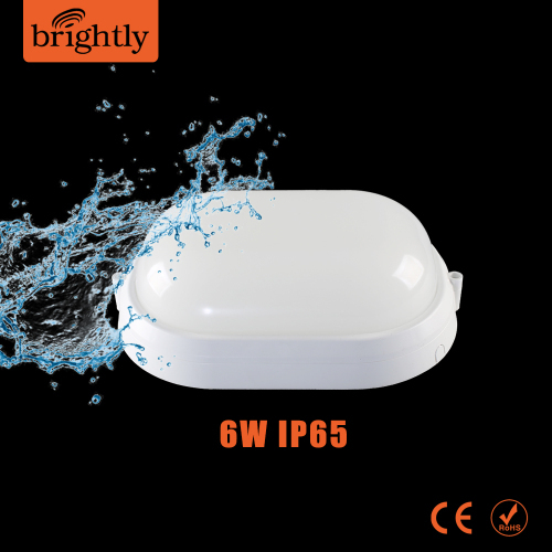 6W IP65 Surface Mounts Plastic LED Wall Light