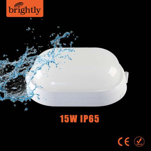 IP65 Oyster light 15W Plastic Ellipse LED Wall Lighting