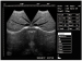 Veterinary 2D Notebook ECHO machine