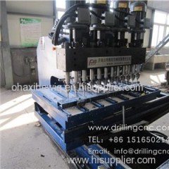 PZSD1208-12 CNC Multi Spindle Drilling Machine